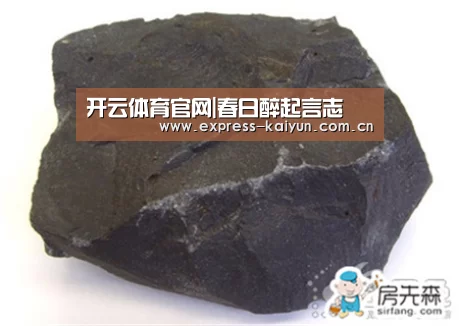 开云体育官网|春日醉起言志(图1) 开云体育官方