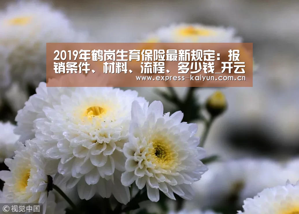 2019年鹤岗生育保险最新规定:报销条件、材料、流程、多少钱_开云体育官网(图1) 开云体育官方