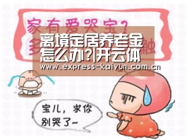 离境定居养老金怎么办?|开云体育官网(图2) 开云体育数据中心