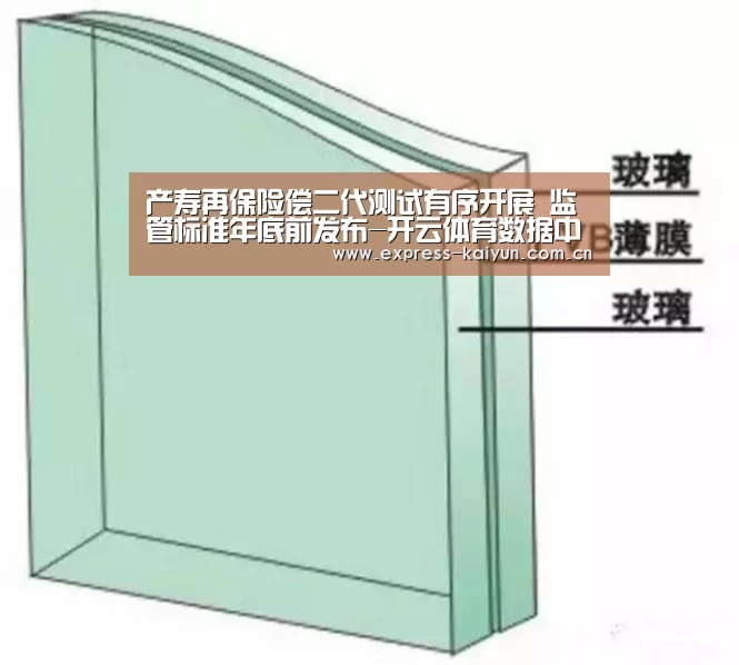产寿再保险偿二代测试有序开展 监管标准年底前发布-开云体育数据中心(图3) 开云体育数据中心