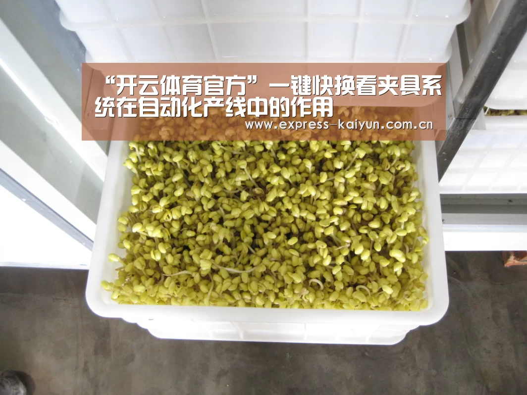 “开云体育官方”一键快换看夹具系统在自动化产线中的作用(图2) 开云体育官方