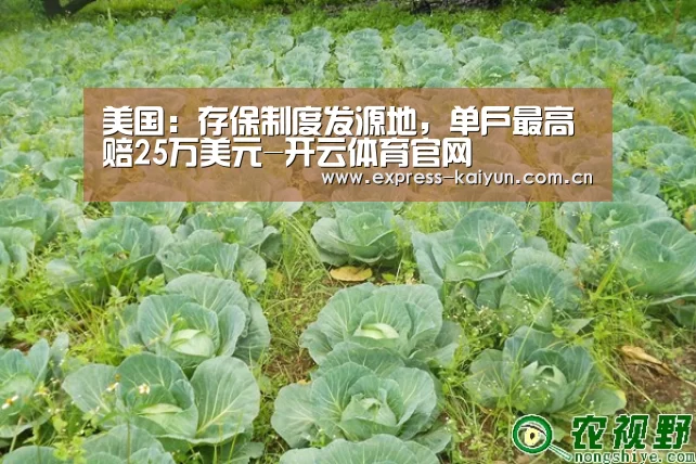 美国:存保制度发源地,单户最高赔25万美元-开云体育官网(图2) 开云体育数据中心
