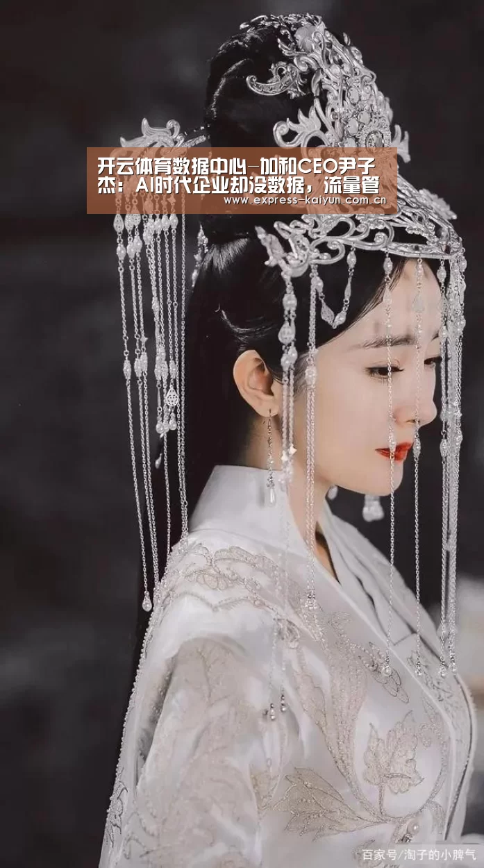 开云体育数据中心-加和CEO尹子杰:AI时代企业却没数据,流量管理或是To B升级突破口(图1) 开云体育数据中心