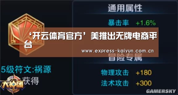 ‘开云体育官方’美推出无牌电商平台(图1) 开云体育官网