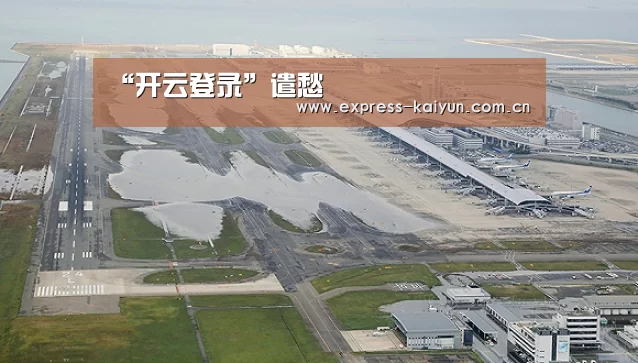 “开云登录”遣愁(图1) 开云体育数据中心
