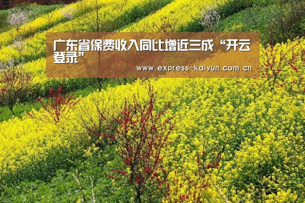 广东省保费收入同比增近三成“开云登录”(图3) 开云体育数据中心