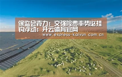 保监会袁力:交强险费率势必挂钩浮动:开云体育官网(图1) 开云体育官方